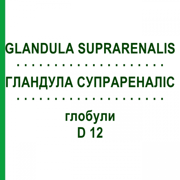 ГЛАНДУЛА СУПРАРЕНАЛІС (GLANDULA SUPRARENALIS) D 12 глобули 10 г - Гомеопатія DR.RECKEWEG