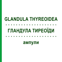 ГЛАНДУЛА ТИРЕОЇДИ (GLANDULA THYREOIDEA) ампули 100 шт - Гомеопатія BIOLOGISCHE HEILMITTEL HEEL