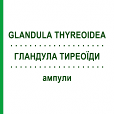 ГЛАНДУЛА ТИРЕОЇДИ (GLANDULA THYREOIDEA) ампули 10x1 мл - Гомеопатія WALA HEILMITTEL
