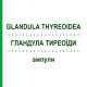 ГЛАНДУЛА ТИРЕОЇДИ (GLANDULA THYREOIDEA) ампули 10x1 мл - Гомеопатія WALA HEILMITTEL