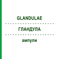 ГЛАНДУЛА (GLANDULAE) ампулы 100x2 мл - Гомеопатия DR.RECKEWEG