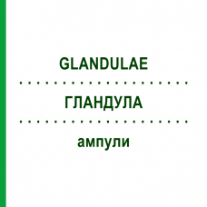 ГЛАНДУЛА (GLANDULAE) ампулы 100x2 мл - Гомеопатия DR.RECKEWEG