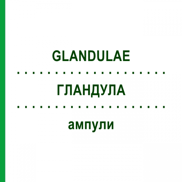 ГЛАНДУЛА (GLANDULAE) ампулы 100x2 мл - Гомеопатия DR.RECKEWEG