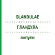 ГЛАНДУЛА (GLANDULAE) ампулы 100x2 мл - Гомеопатия DR.RECKEWEG