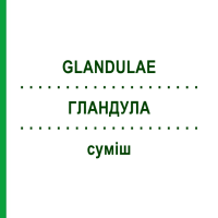 ГЛАНДУЛА (GLANDULAE) смесь 22 мл - Гомеопатия DR.RECKEWEG