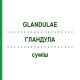 ГЛАНДУЛА (GLANDULAE) смесь 22 мл - Гомеопатия DR.RECKEWEG