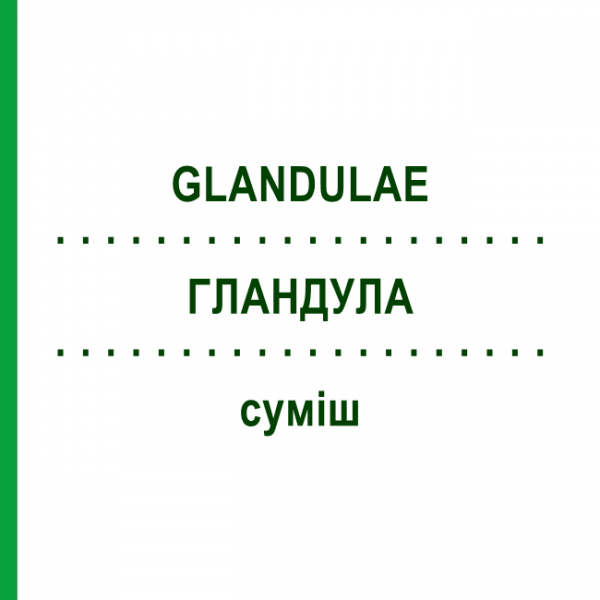 ГЛАНДУЛА (GLANDULAE) смесь 22 мл - Гомеопатия DR.RECKEWEG