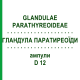 ГЛАНДУЛА ПАРАТИРЕОЇДИ (GLANDULAE PARATHYREOIDEAE) D 12 ампули 10x1 мл - Гомеопатія WALA HEILMITTEL