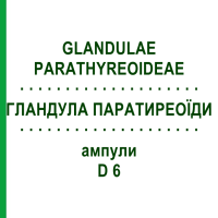 ГЛАНДУЛЕ ПАРАТИРЕОИДИ (GLANDULAE PARATHYREOIDEAE) D 6 ампулы 10x1 мл - Гомеопатия WALA HEILMITTEL