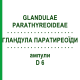 ГЛАНДУЛА ПАРАТИРЕОЇДИ (GLANDULAE PARATHYREOIDEAE) D 6 ампули 10x1 мл - Гомеопатія WALA HEILMITTEL