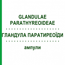 ГЛАНДУЛА ПАРАТИРЕОЇДИ (GLANDULAE PARATHYREOIDEAE) ампули 10x1 мл - Гомеопатія WALA HEILMITTEL