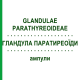 ГЛАНДУЛА ПАРАТИРЕОЇДИ (GLANDULAE PARATHYREOIDEAE) ампули 10x1 мл - Гомеопатія WALA HEILMITTEL