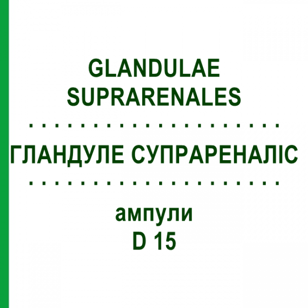 ГЛАНДУЛЕ СУПРАРЕНАЛІС (GLANDULAE SUPRARENALES) D 15 ампули 10x1 мл - Гомеопатія WALA HEILMITTEL