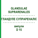 ГЛАНДУЛЕ СУПРАРЕНАЛІС (GLANDULAE SUPRARENALES) D 15 ампули 10x1 мл - Гомеопатія WALA HEILMITTEL