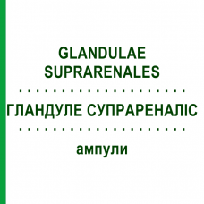 ГЛАНДУЛЕ СУПРАРЕНАЛІС (GLANDULAE SUPRARENALES) ампули 10x1 мл - Гомеопатія WALA HEILMITTEL