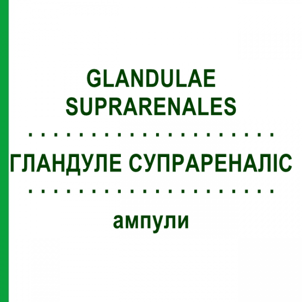 ГЛАНДУЛЕ СУПРАРЕНАЛИС (GLANDULAE SUPRARENALES) ампулы 10x1 мл - Гомеопатия WALA HEILMITTEL