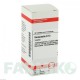 ХАМАМЕЛИС (HAMAMELIS) D 12 таблетки 80 шт - Гомеопатия DHU