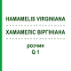 ХАМАМЕЛИС ВИРГИНИАНА (HAMAMELIS VIRGINIANA) Q 1 раствор 15 мл - Гомеопатия GUDJONS