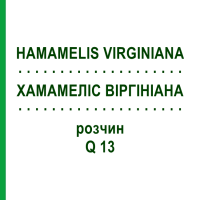 ХАМАМЕЛІС ВІРГІНІАНА (HAMAMELIS VIRGINIANA) Q 13 розчин 15 мл - Гомеопатія GUDJONS
