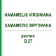 ХАМАМЕЛИС ВИРГИНИАНА (HAMAMELIS VIRGINIANA) Q 27 раствор 15 мл - Гомеопатия GUDJONS