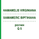 ХАМАМЕЛИС ВИРГИНИАНА (HAMAMELIS VIRGINIANA) Q 5 раствор 15 мл - Гомеопатия GUDJONS