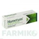ХАМЕТУМ (HAMETUM) мазь 25 г - Листья с корой гамамелиса DR.WILLMAR SCHWABE