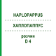 ХАПЛОПАППУС (HAPLOPAPPUS) D 4 раствор 20 мл - Гомеопатия DHU