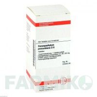 ХАРПАГОФИТУМ ПРОКУМБЕНС (HARPAGOPHYTUM PROCUMBENS) D 6 таблетки 200 шт - Гомеопатия DHU