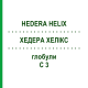 ХЕДЕРА ХЕЛИКС (HEDERA HELIX) C 3 глобули 10 г - Гомеопатия DHU