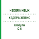 ХЕДЕРА ХЕЛИКС (HEDERA HELIX) C 6 глобули 10 г - Гомеопатия DHU