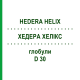 ХЕДЕРА ХЕЛИКС (HEDERA HELIX) D 30 глобули 10 г - Гомеопатия DR.RECKEWEG