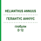 ГЕЛИАНТУС АННУУС (HELIANTHUS ANNUUS) D 12 глобули 10 г - Гомеопатия DHU