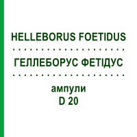 ГЕЛЛЕБОРУС ФЕТИДУС (HELLEBORUS FOETIDUS) D 20 ампулы 8x1 мл - Гомеопатия HELIXOR HEILMITTEL