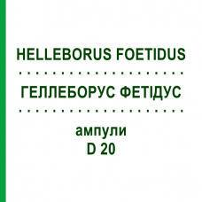 ГЕЛЛЕБОРУС ФЕТИДУС (HELLEBORUS FOETIDUS) D 20 ампулы 8x1 мл - Гомеопатия HELIXOR HEILMITTEL