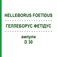 ГЕЛЛЕБОРУС ФЕТИДУС (HELLEBORUS FOETIDUS) D 30 ампулы 8x1 мл - Гомеопатия HELIXOR HEILMITTEL