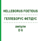 ГЕЛЛЕБОРУС ФЕТИДУС (HELLEBORUS FOETIDUS) D 6 ампулы 8x1 мл - Гомеопатия HELIXOR HEILMITTEL