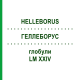 ГЕЛЛЕБОРУС (HELLEBORUS) LM XXIV глобули 5 г - Гомеопатия DHU