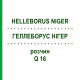 ГЕЛЛЕБОРУС НИГЕР (HELLEBORUS NIGER) Q 16 раствор 15 мл - Гомеопатия GUDJONS