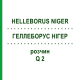 ГЕЛЛЕБОРУС НИГЕР (HELLEBORUS NIGER) Q 2 раствор 15 мл - Гомеопатия GUDJONS
