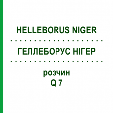 ГЕЛЛЕБОРУС НИГЕР (HELLEBORUS NIGER) Q 7 раствор 15 мл - Гомеопатия GUDJONS