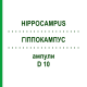 ГІППОКАМПУС (HIPPOCAMPUS) D 10 ампули 10x1 мл - Гомеопатія WALA HEILMITTEL