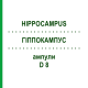 ГІППОКАМПУС (HIPPOCAMPUS) D 8 ампули 10x1 мл - Гомеопатія WALA HEILMITTEL