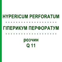 ГІПЕРИКУМ ПЕРФОРАТУМ (HYPERICUM PERFORATUM) Q 11 розчин 15 мл - Гомеопатія GUDJONS