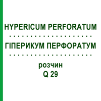 ГІПЕРИКУМ ПЕРФОРАТУМ (HYPERICUM PERFORATUM) Q 29 розчин 15 мл - Гомеопатія GUDJONS