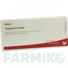 ГИПОФИЗ (HYPOPHYSIS) D 30 ампулы 10x1 мл - Гомеопатия WALA HEILMITTEL