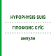 ГИПОФИЗИС СУИС (HYPOPHYSIS SUIS) ампулы 100 шт - Гомеопатия BIOLOGISCHE HEILMITTEL HEEL