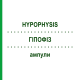 ГИПОФИЗ (HYPOPHYSIS) ампулы 10x1 мл - Гомеопатия WALA HEILMITTEL