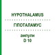 ГІПОТАЛАМУС (HYPOTHALAMUS) D 10 ампули 10x1 мл - Гомеопатія WALA HEILMITTEL