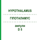 ГІПОТАЛАМУС (HYPOTHALAMUS) D 5 ампули 10x1 мл - Гомеопатія WALA HEILMITTEL