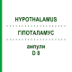 ГІПОТАЛАМУС (HYPOTHALAMUS) D 8 ампули 10x1 мл - Гомеопатія WALA HEILMITTEL